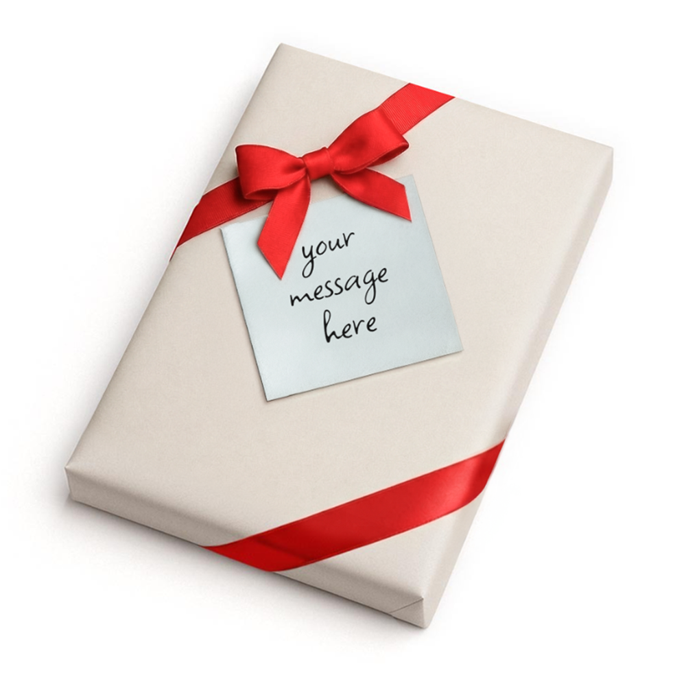 Personalized Occupational Therapist Journal
