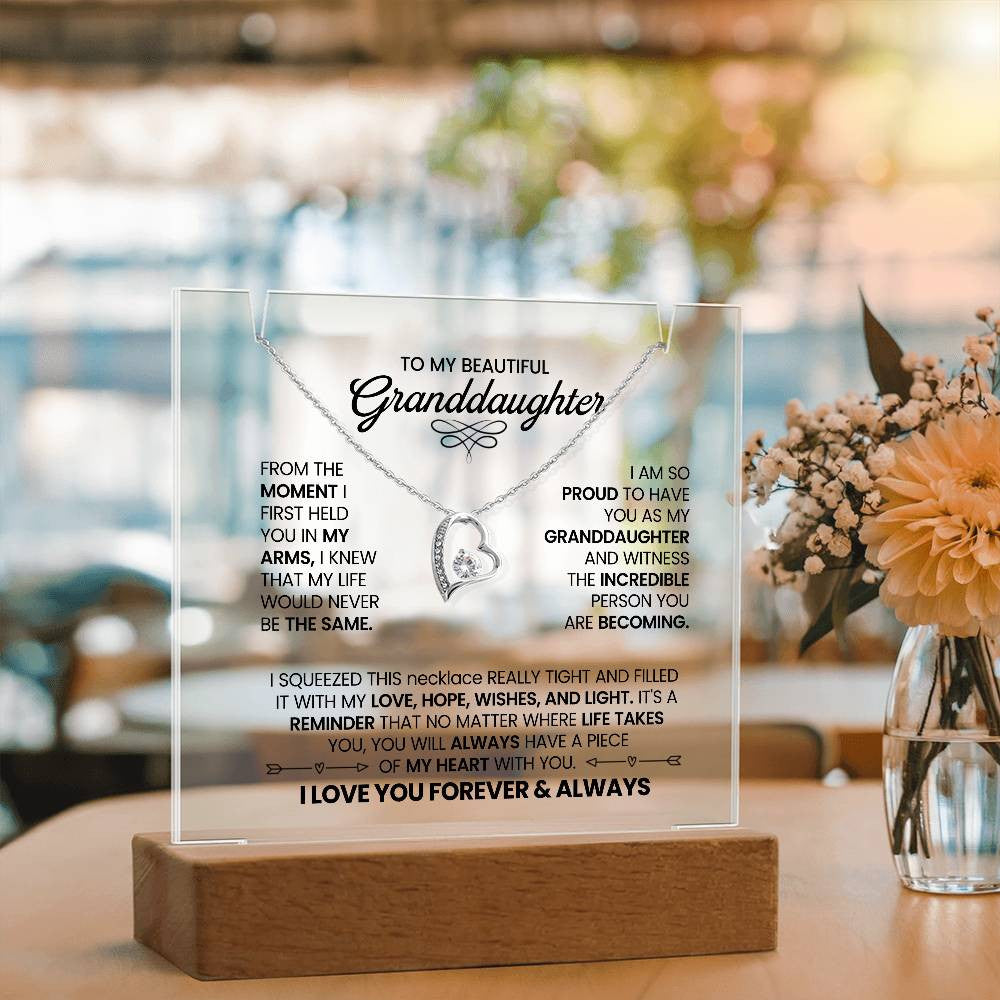 Granddaughter Lighted Jewelry Holder with Necklace Gift Set-[Heartfelt Family Gift]