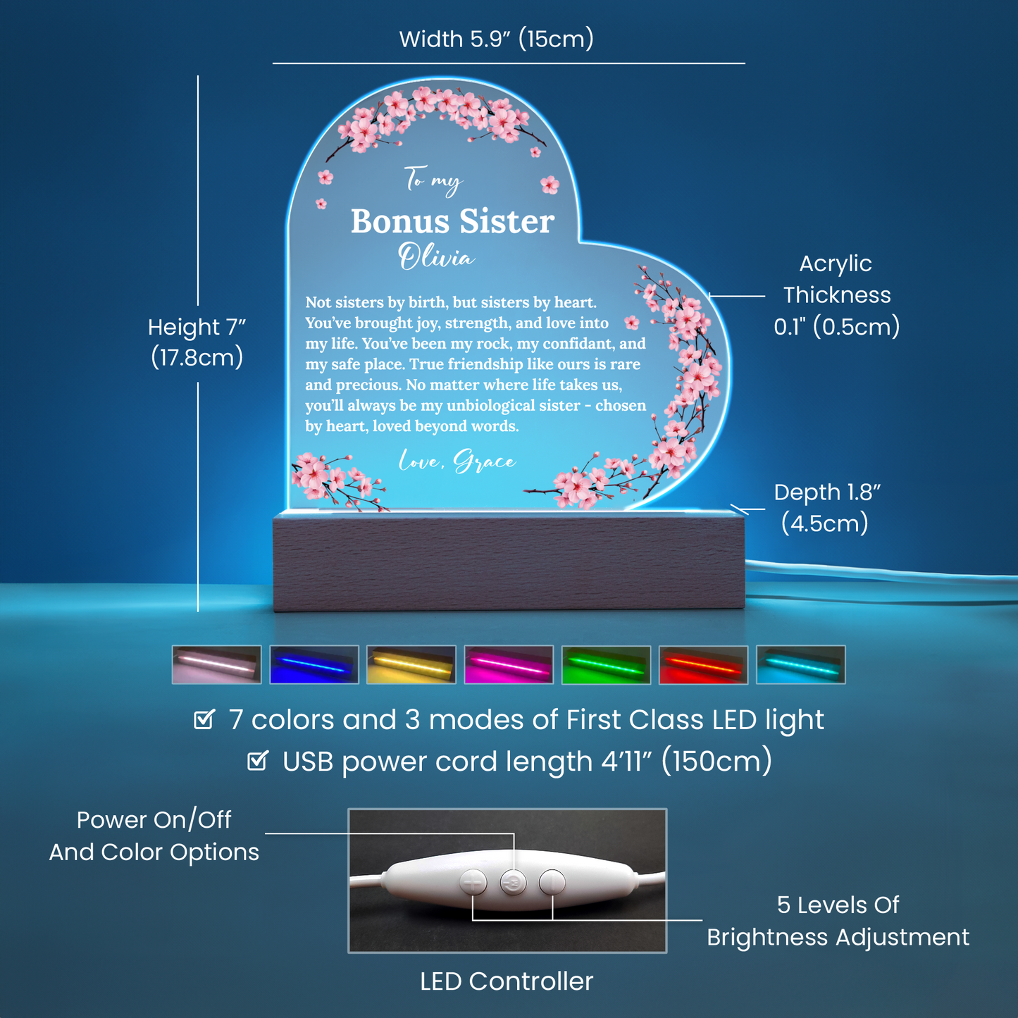 Bonus Sister in Heart Acrylic Heart Plaque