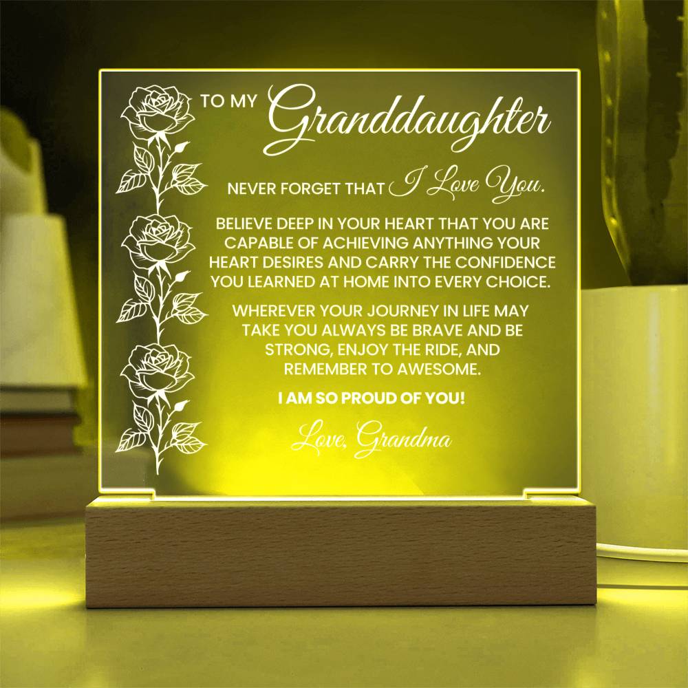 Granddaughter Acrylic Plaque Gift