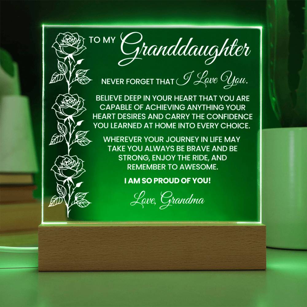Granddaughter Acrylic Plaque Gift