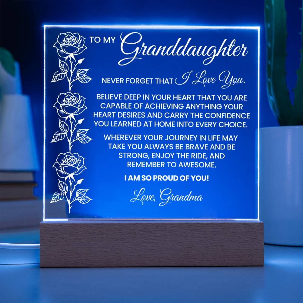 Granddaughter Acrylic Plaque Gift