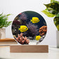Fish Salt Water Aquarium Night Light-[Heartfelt Family Gift]