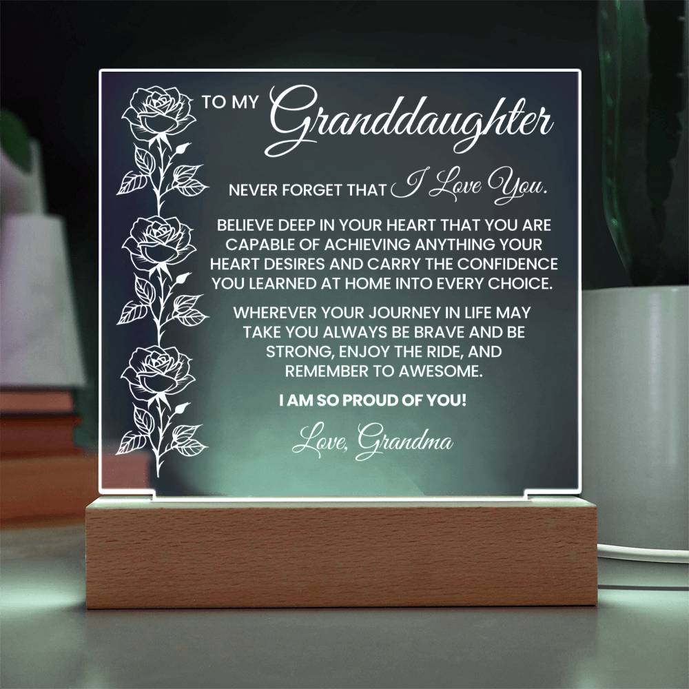 Granddaughter Acrylic Plaque Gift