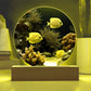 Fish Salt Water Aquarium Night Light-[Heartfelt Family Gift]