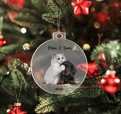 Personalized Pet Photo Charistmas Ornament