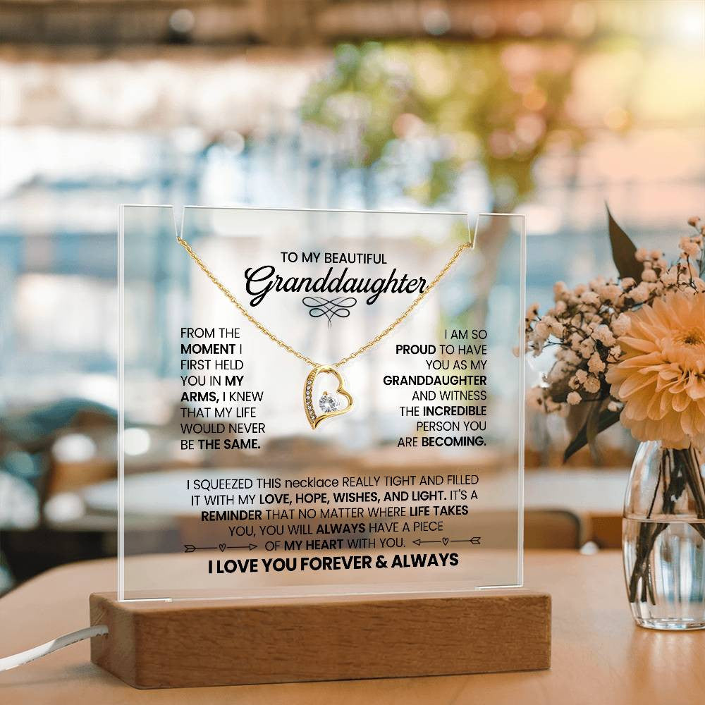 Granddaughter Lighted Jewelry Holder with Necklace Gift Set-[Heartfelt Family Gift]