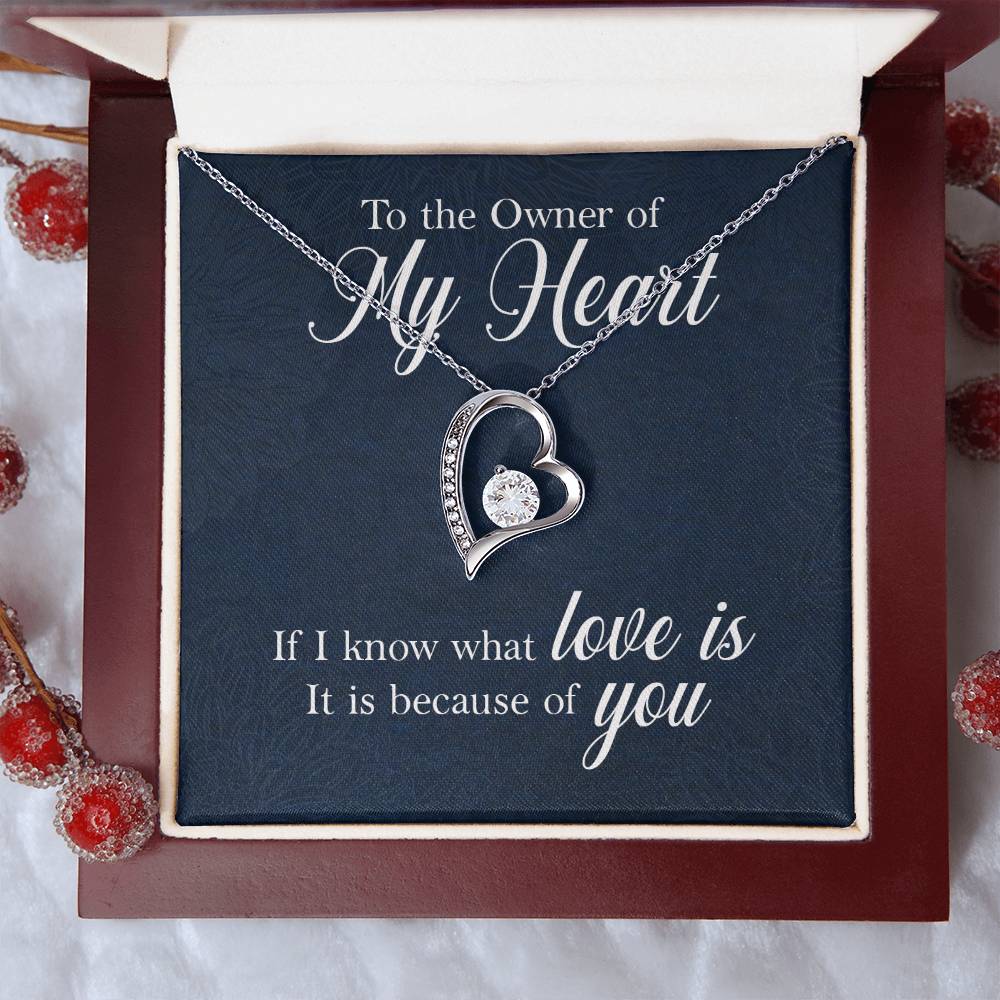 Owner of My Heart Heart Necklace Gift-[Heartfelt Family Gift]