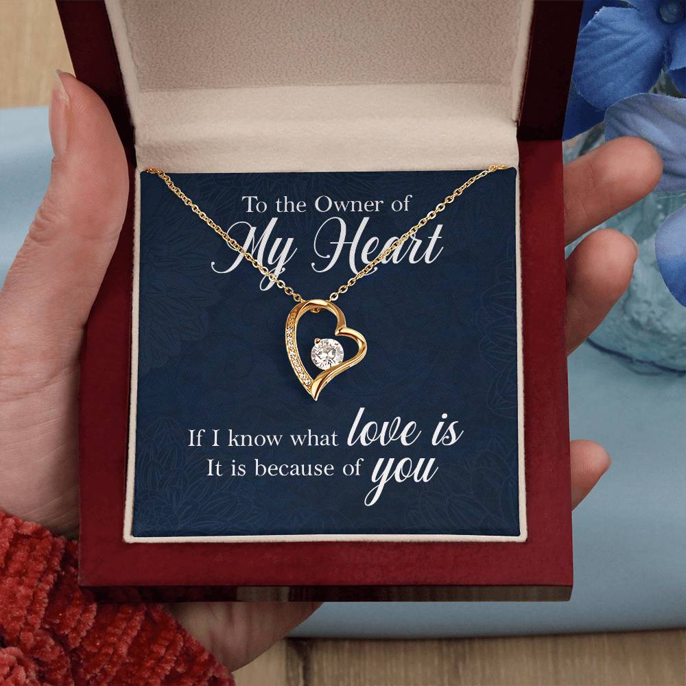 Owner of My Heart Heart Necklace Gift-[Heartfelt Family Gift]