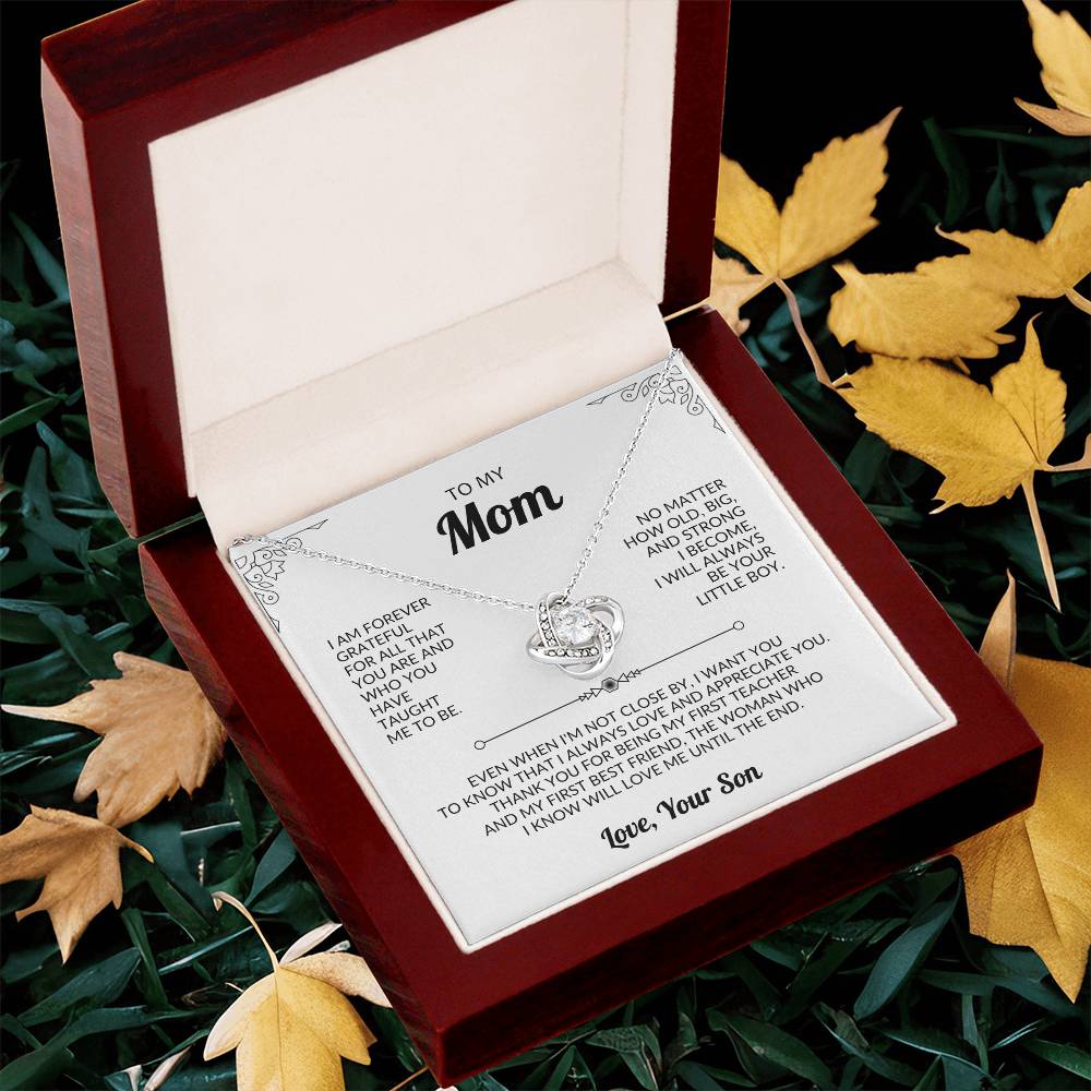 To Mom from Son Heart Necklace Gift