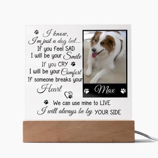 Personalized Dog Photo Acrylic Plaque I Will Always Be By Your Side-[Heartfelt Family Gift]