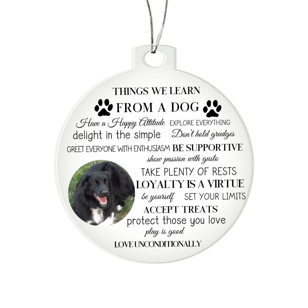 Personalized Photo Things We Learn From A Dog-[Heartfelt Family Gift]