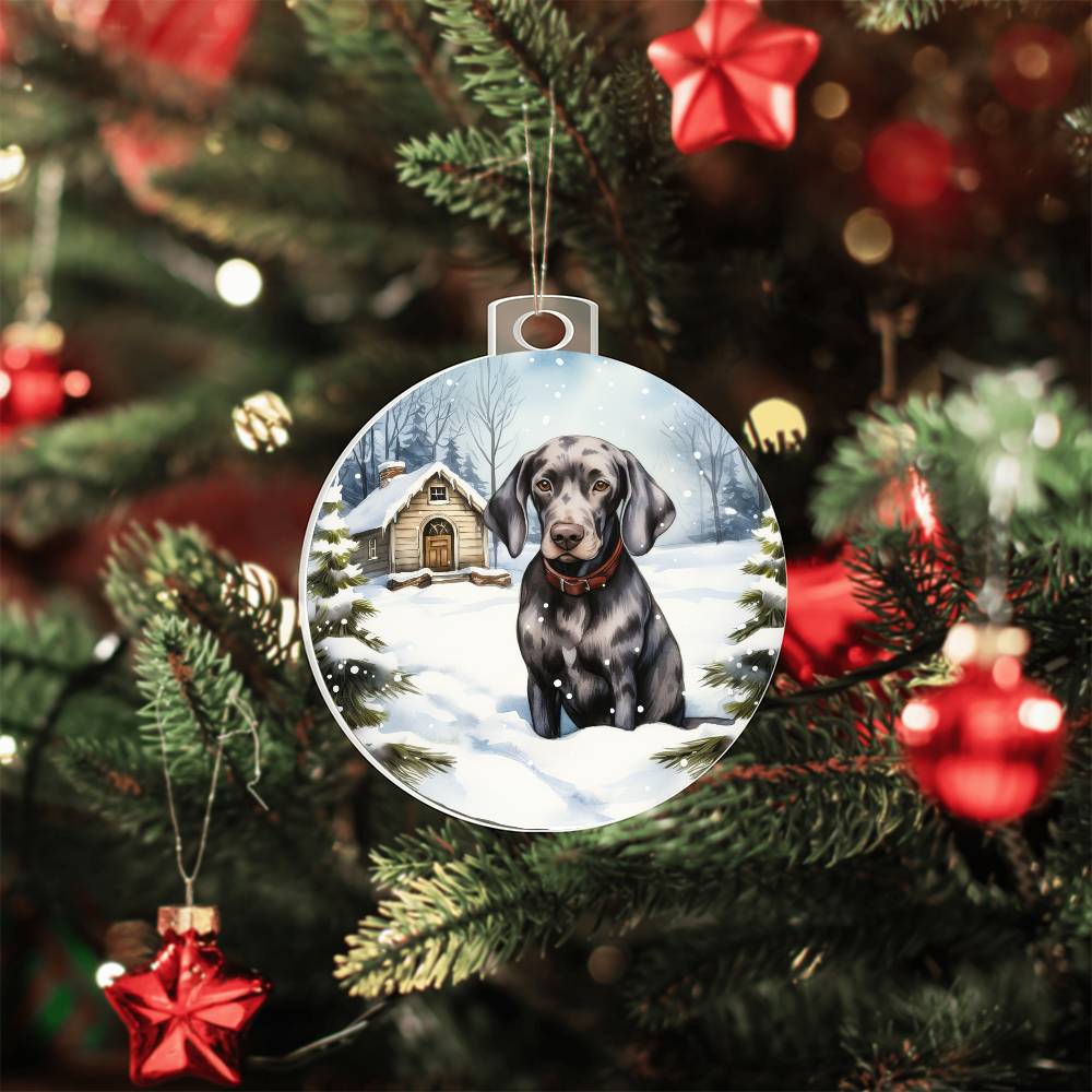 Dog Breakaway 3D Effect Acrylic Ornament-[Heartfelt Family Gift]