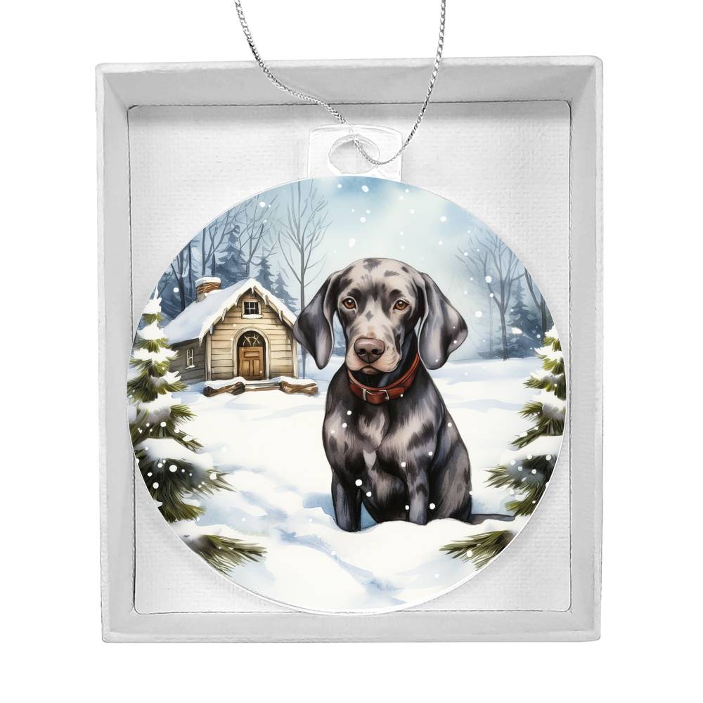 Dog Breakaway 3D Effect Acrylic Ornament-[Heartfelt Family Gift]