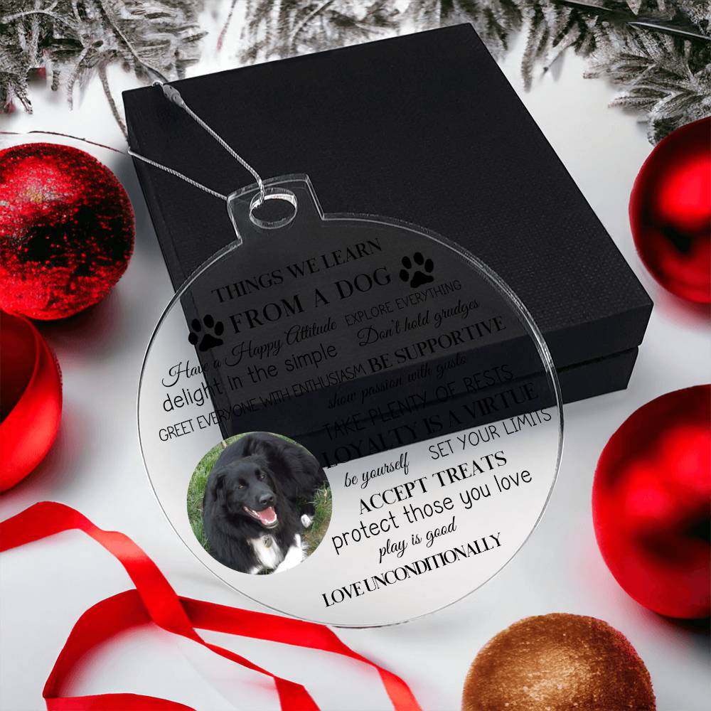 Personalized Photo Things We Learn From A Dog-[Heartfelt Family Gift]