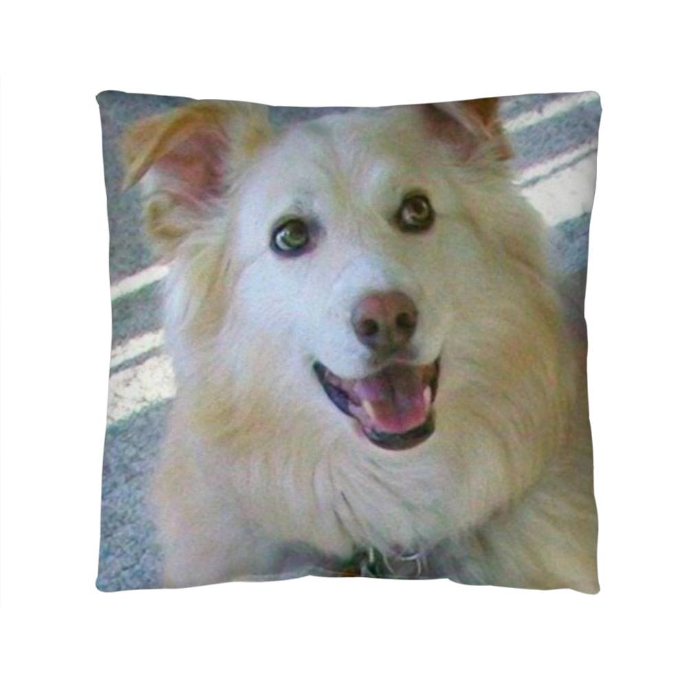 Custom Pet Photo Pillow - 2 Sided Print for Personalized Home Decor-[Heartfelt Family Gift]