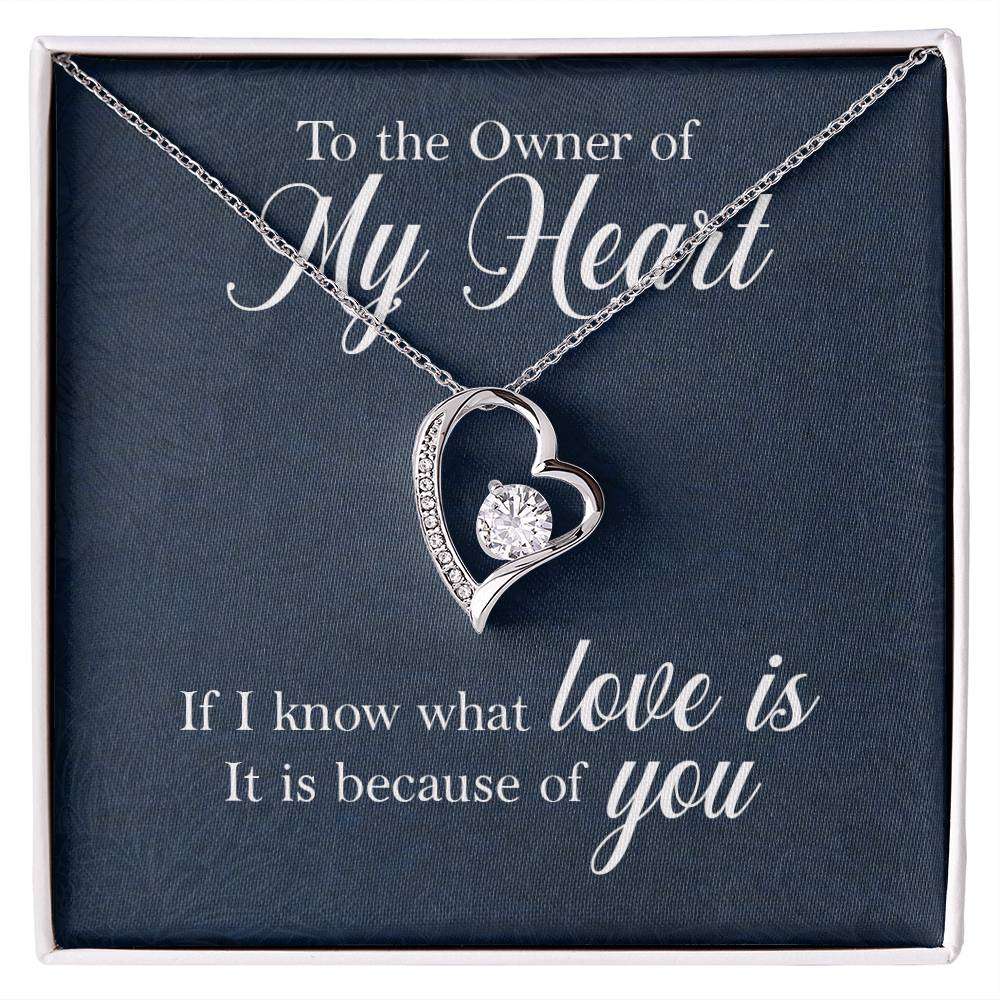 Owner of My Heart Heart Necklace Gift-[Heartfelt Family Gift]