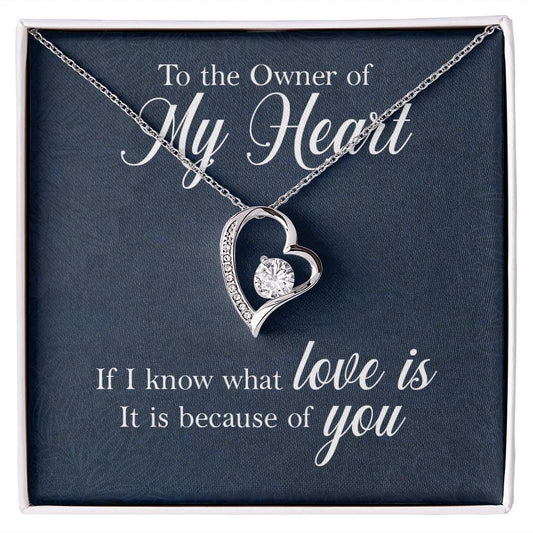 Owner of My Heart Heart Necklace Gift-[Heartfelt Family Gift]