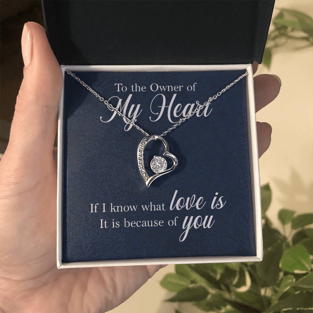 Owner of My Heart Heart Necklace Gift-[Heartfelt Family Gift]