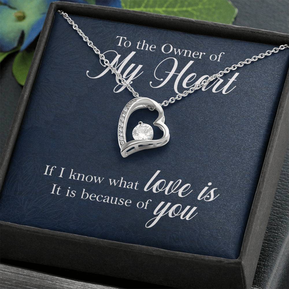 Owner of My Heart Heart Necklace Gift-[Heartfelt Family Gift]