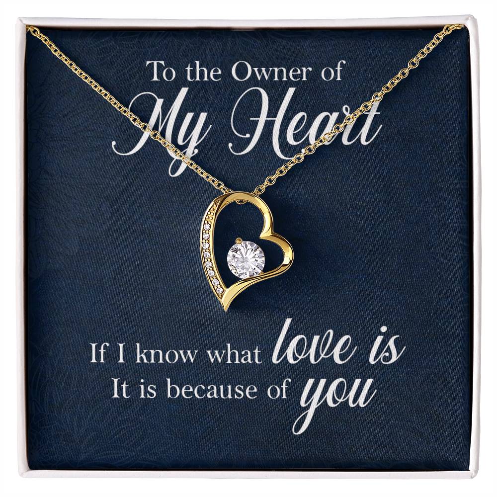Owner of My Heart Heart Necklace Gift-[Heartfelt Family Gift]