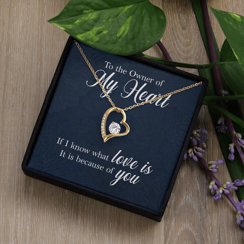 Owner of My Heart Heart Necklace Gift-[Heartfelt Family Gift]