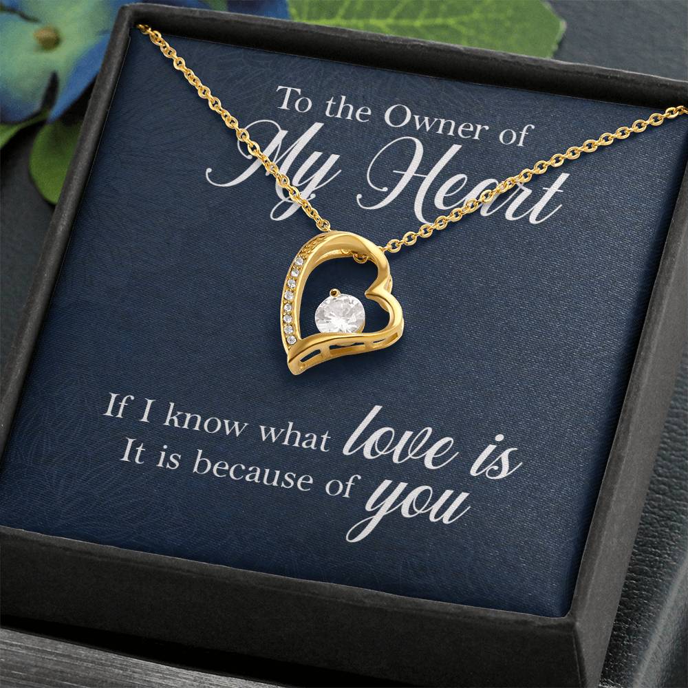 Owner of My Heart Heart Necklace Gift-[Heartfelt Family Gift]