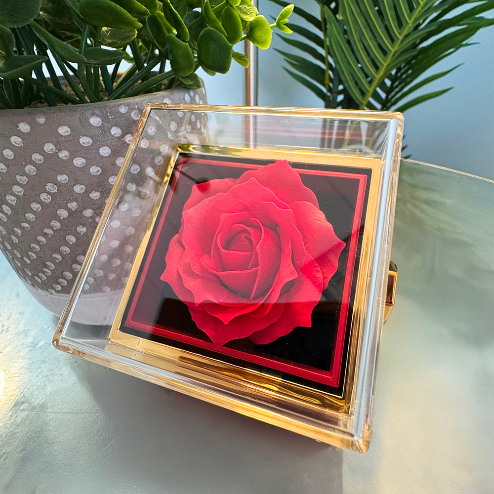 To My Wife Necklace & Rotating Rose Gift Box Set