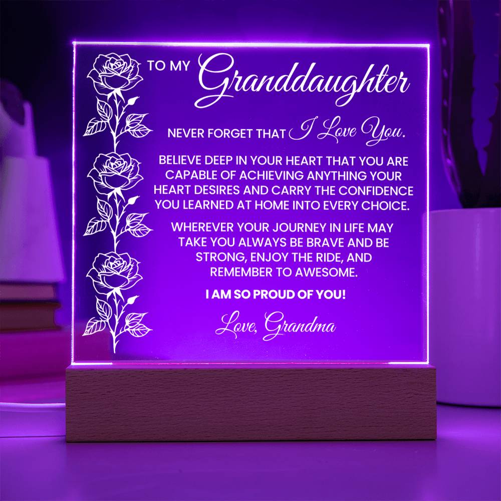 Granddaughter Acrylic Plaque Gift