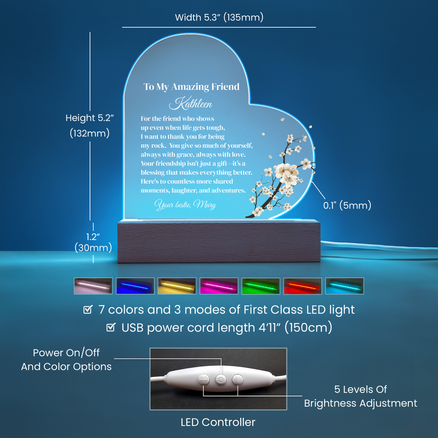 Best Friend Acrylic Heart Plaque Gift