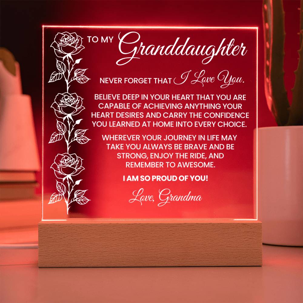 Granddaughter Acrylic Plaque Gift