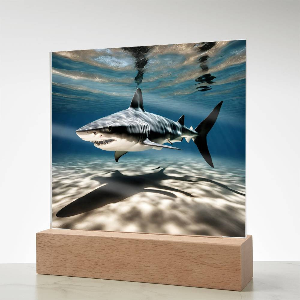 Shark Acrylic LED Plaque-[Heartfelt Family Gift]