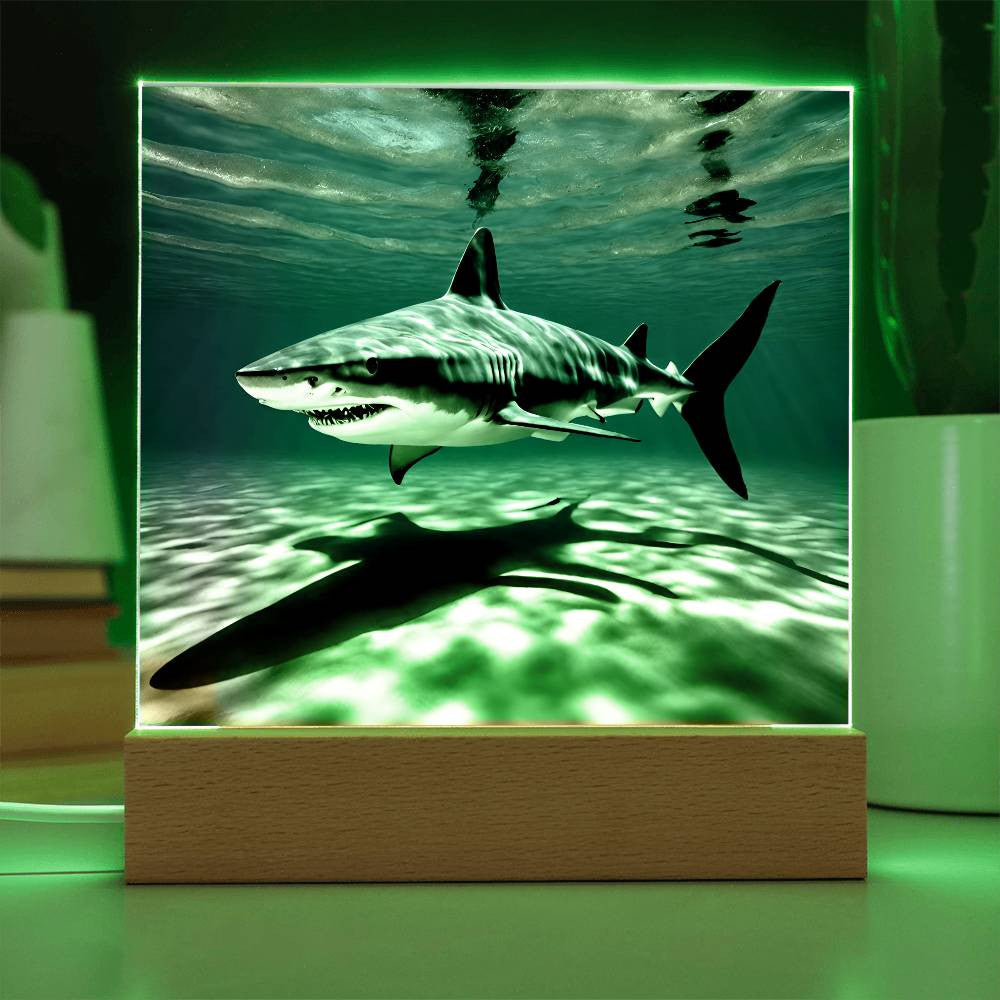 Shark Acrylic LED Plaque-[Heartfelt Family Gift]