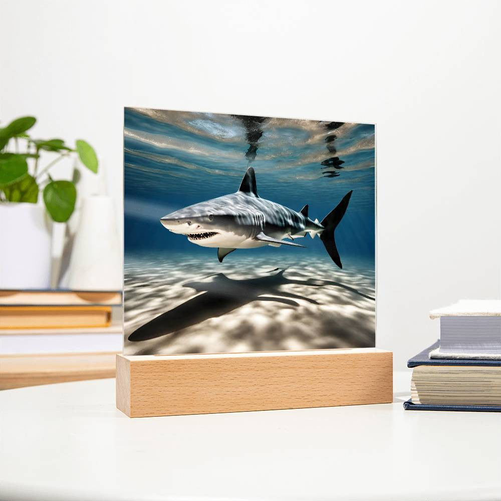 Shark Acrylic LED Plaque-[Heartfelt Family Gift]