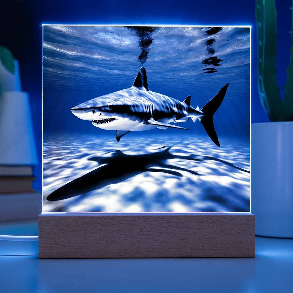 Shark Acrylic LED Plaque-[Heartfelt Family Gift]