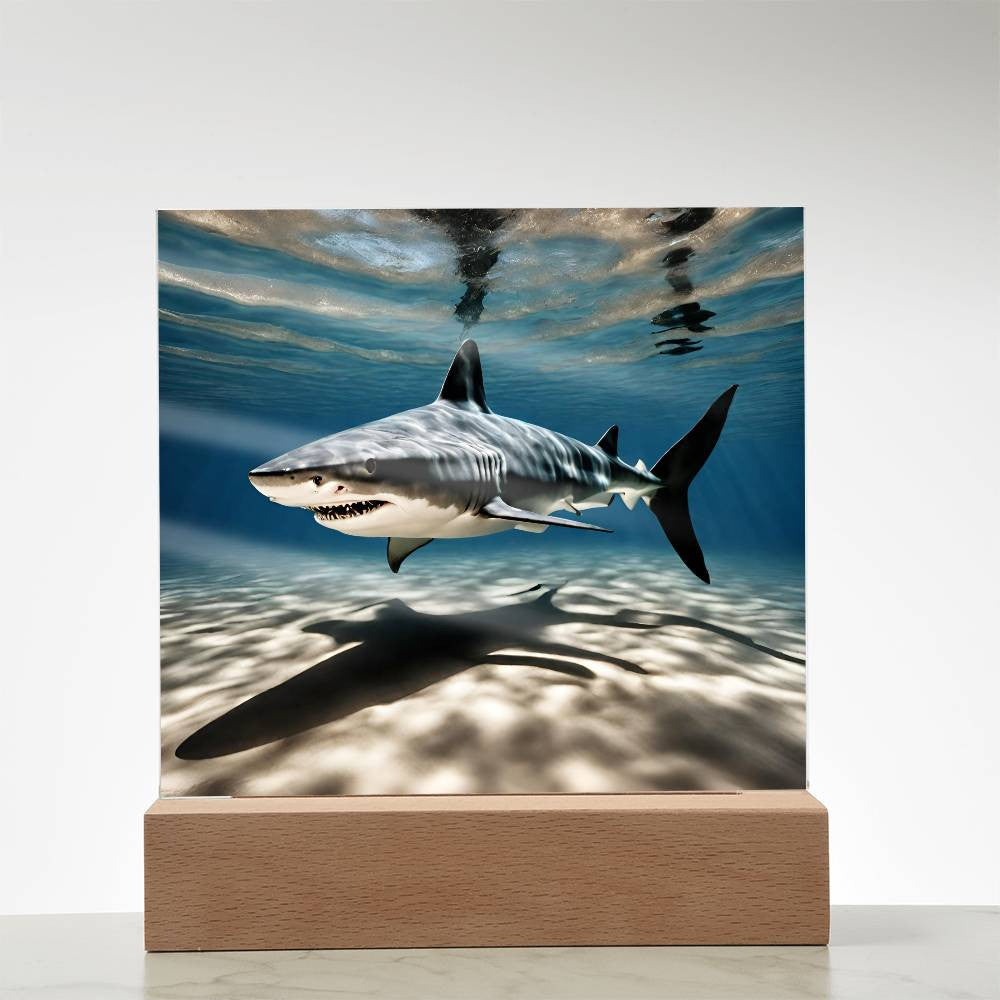 Shark Acrylic LED Plaque-[Heartfelt Family Gift]
