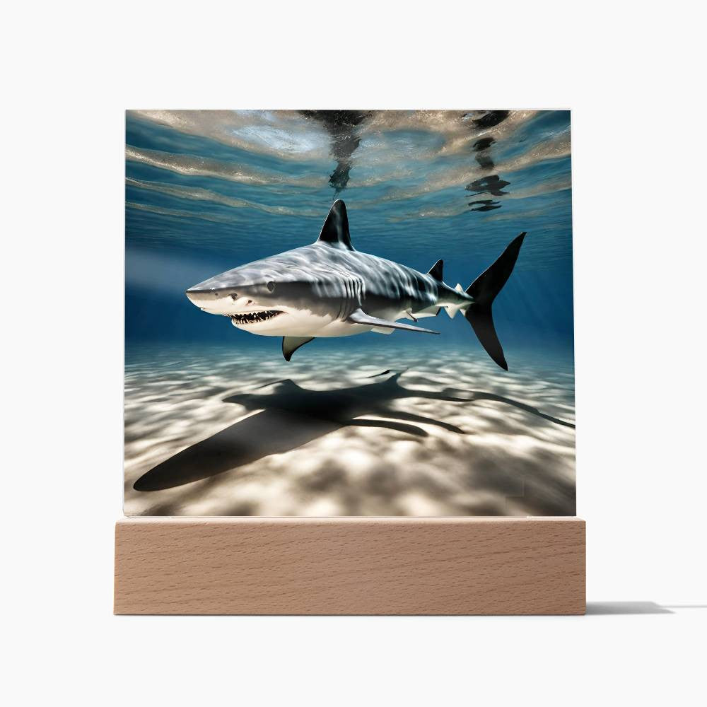 Shark Acrylic LED Plaque-[Heartfelt Family Gift]