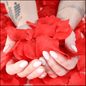 Rose Petals-[Heartfelt Family Gift]